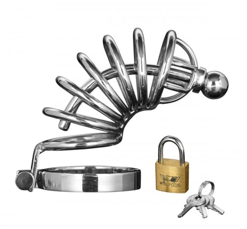 "Asylum 6 Ring Locking Chastity Cage  - Medium/large MS-AD147ML"