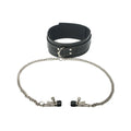 "Coveted Collar and Clamp Union MS-SP525"