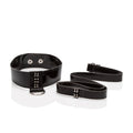 "Diamond Leash and Collar Set SE2656803"