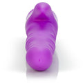 "Double Jack - Purple SE0839403"