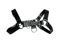 "English Bull Dog Harness STR-AD681"