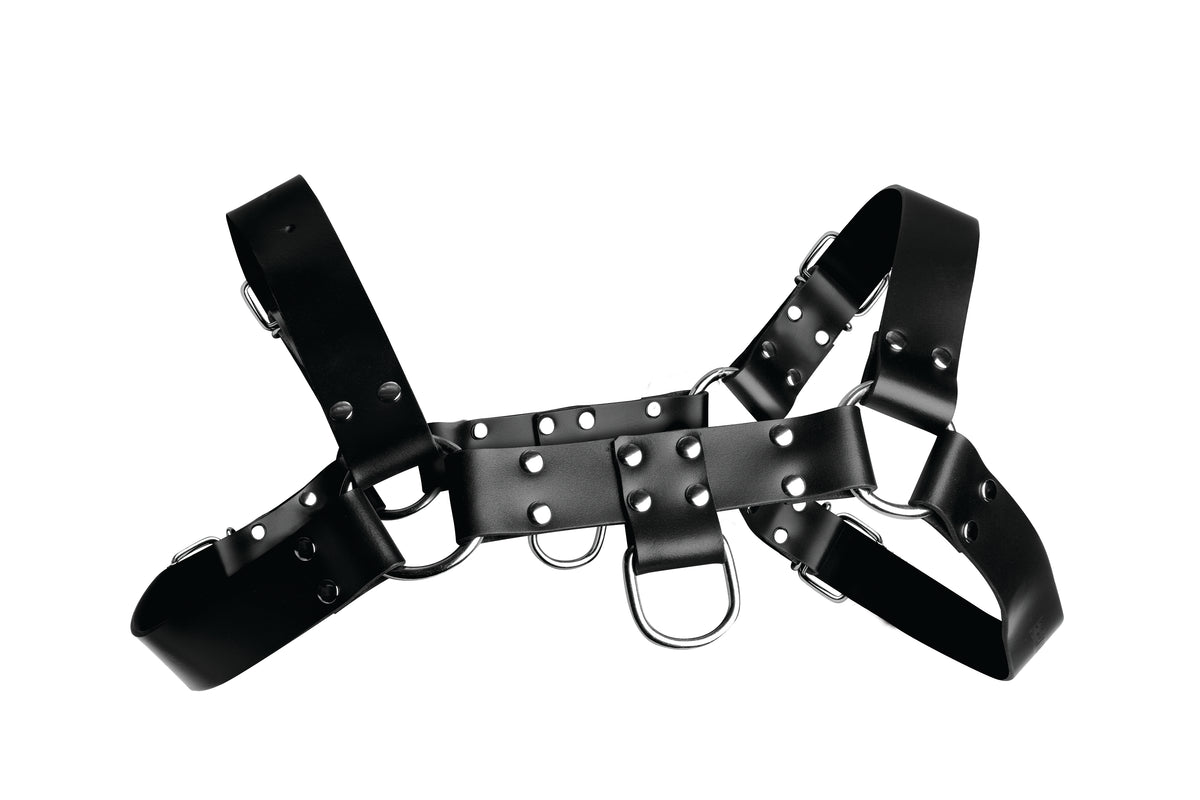 "English Bull Dog Harness STR-AD681"