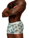 "Sheer Prints - Seamless Sheer Short - Medium - Flamingo MP-SMS011FLMD"