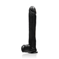 "14 Inch Exxxtreme Dong With Suction & Balls - Black SI-50461"